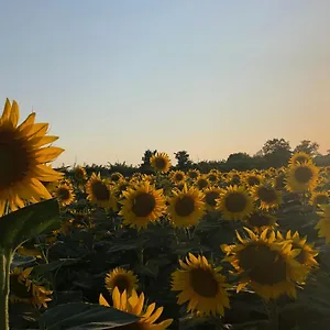 Appartamento A Tuscan View, Montepulciano Stazione